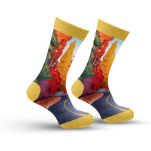 Load image into Gallery viewer, Fall Socks
