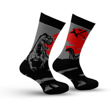 Load image into Gallery viewer, Dinosaur Socks
