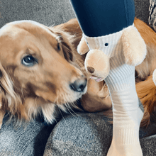 Load image into Gallery viewer, 3D Dog Socks
